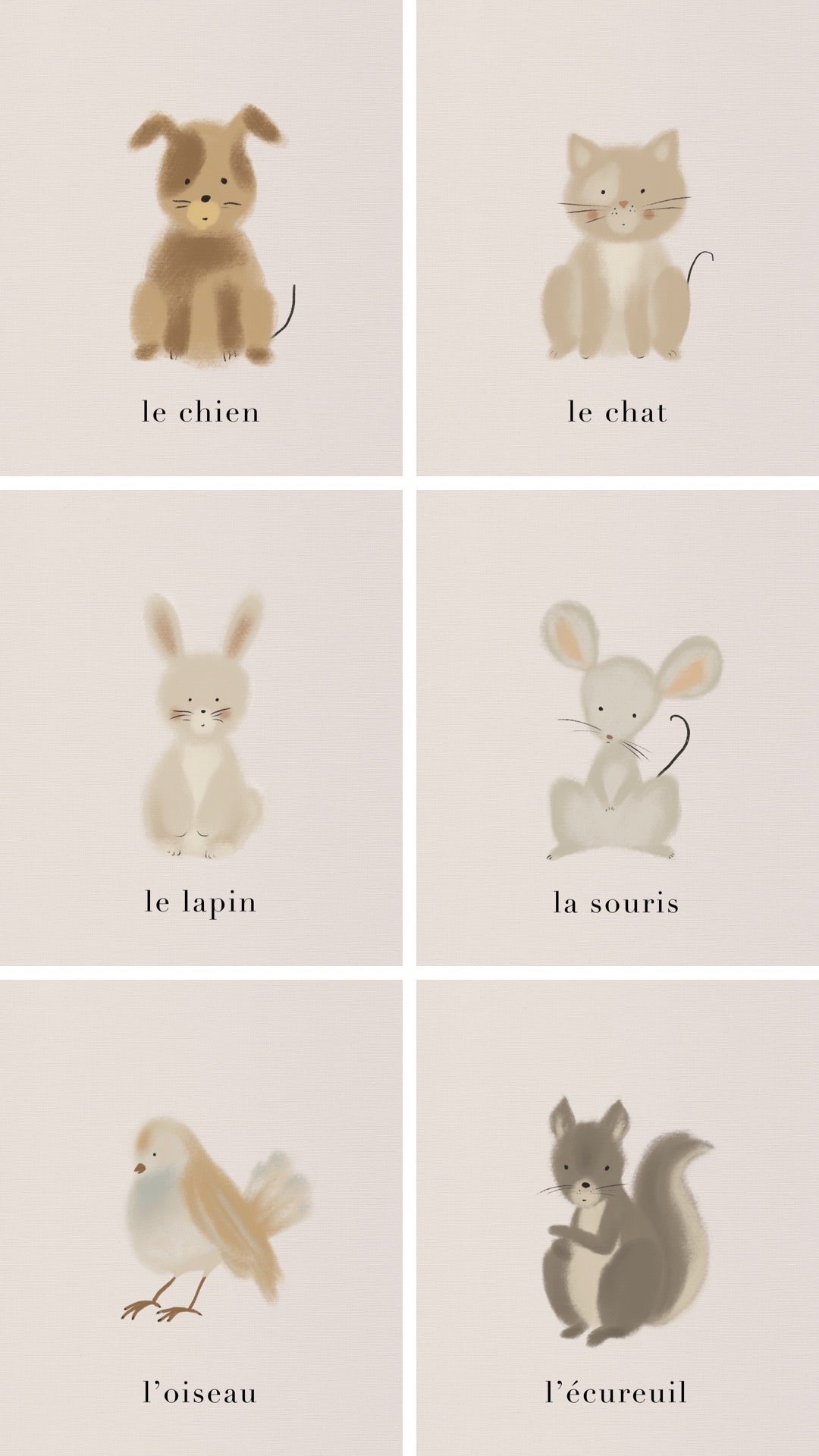 Game & Decor Cards Set - 30 Animals and Their Names by Natasha Prévost