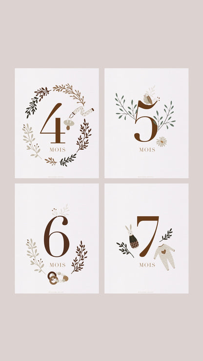 Baby's 12 Months Cards Set - 16 Cards - Unisex by Natasha Prévost