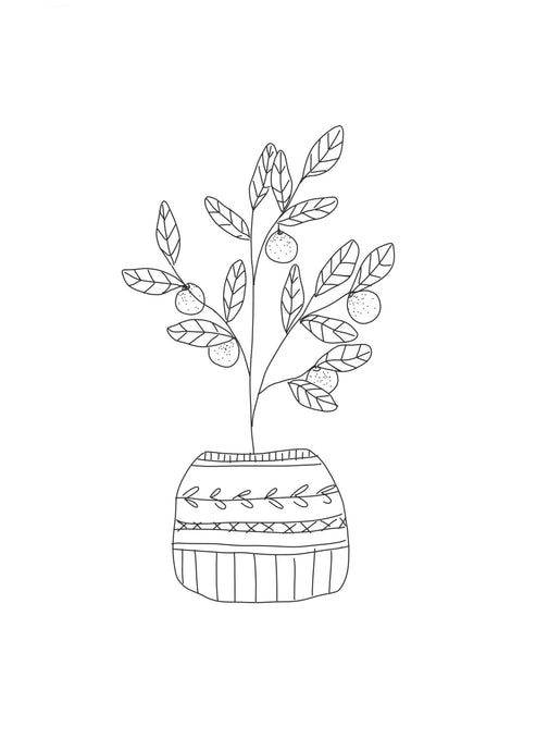 Print 27