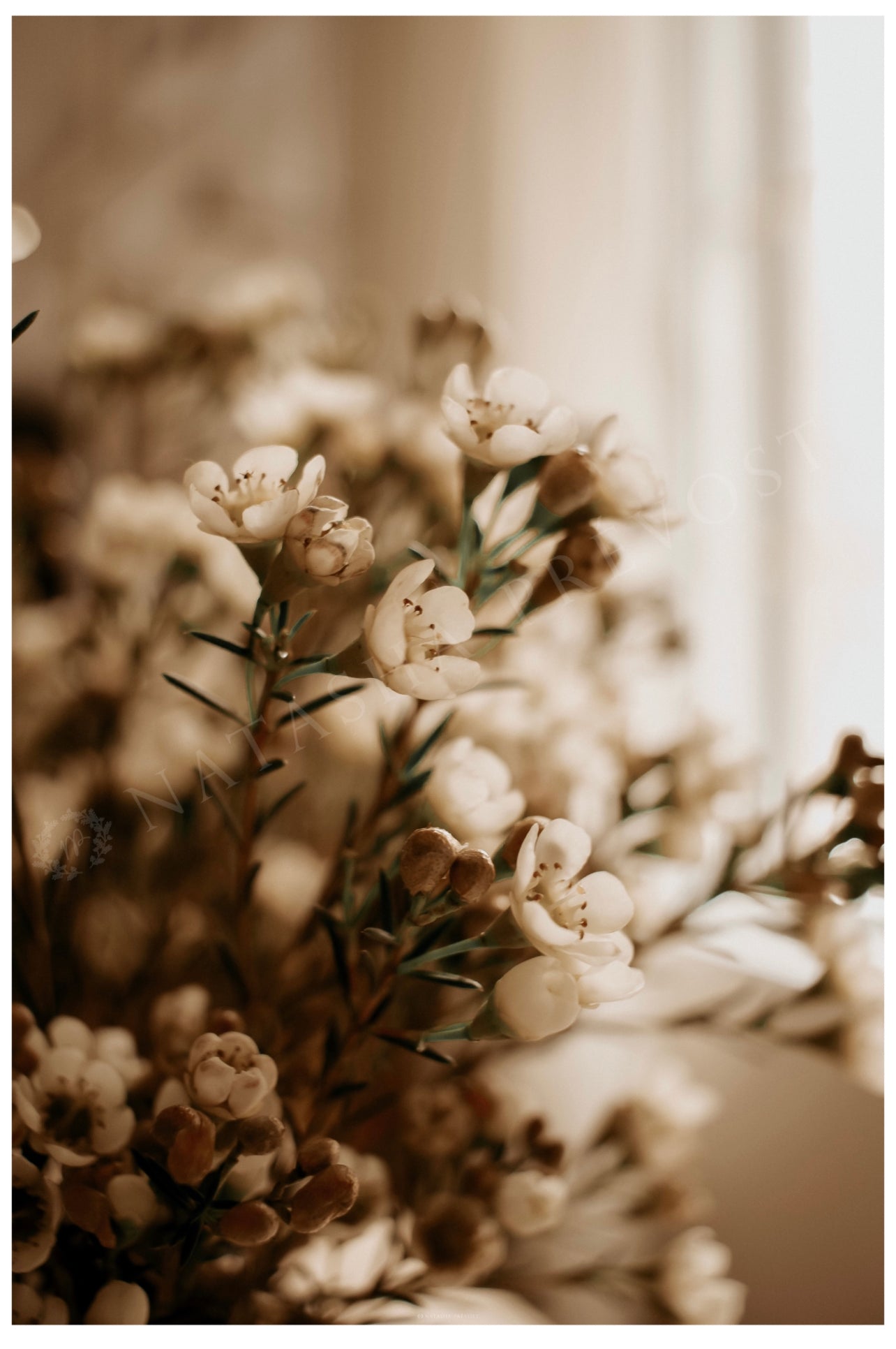 Photo d’ambiance-Série Sans texte-Photo 14