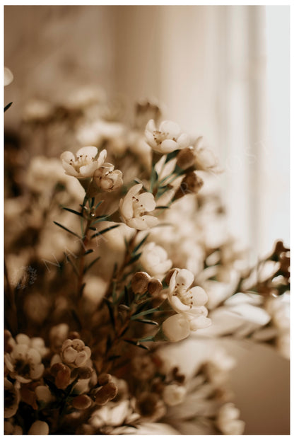 Photo d’ambiance-Série Sans texte-Photo 14