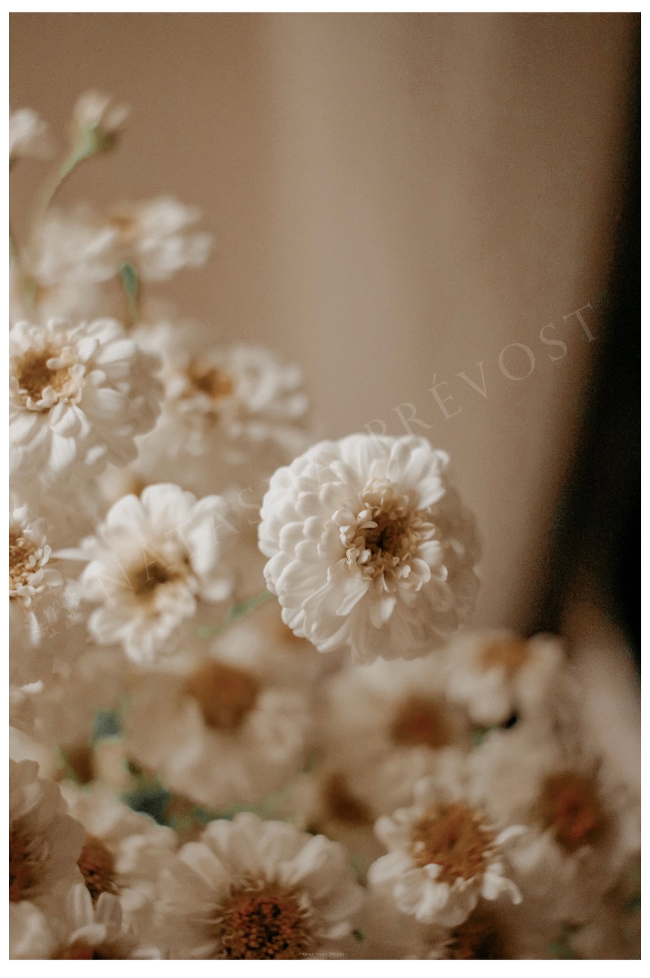 Photo d’ambiance-Série Sans texte-Photo 16