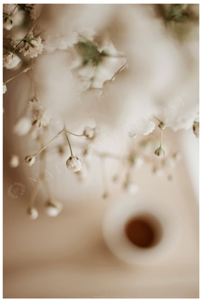 Photo d’ambiance-Série Sans texte-Photo 19