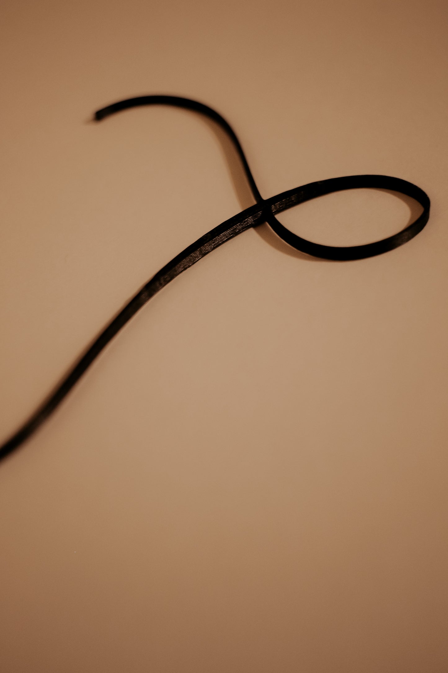 3D Illustration - Profile by Natasha Prévost