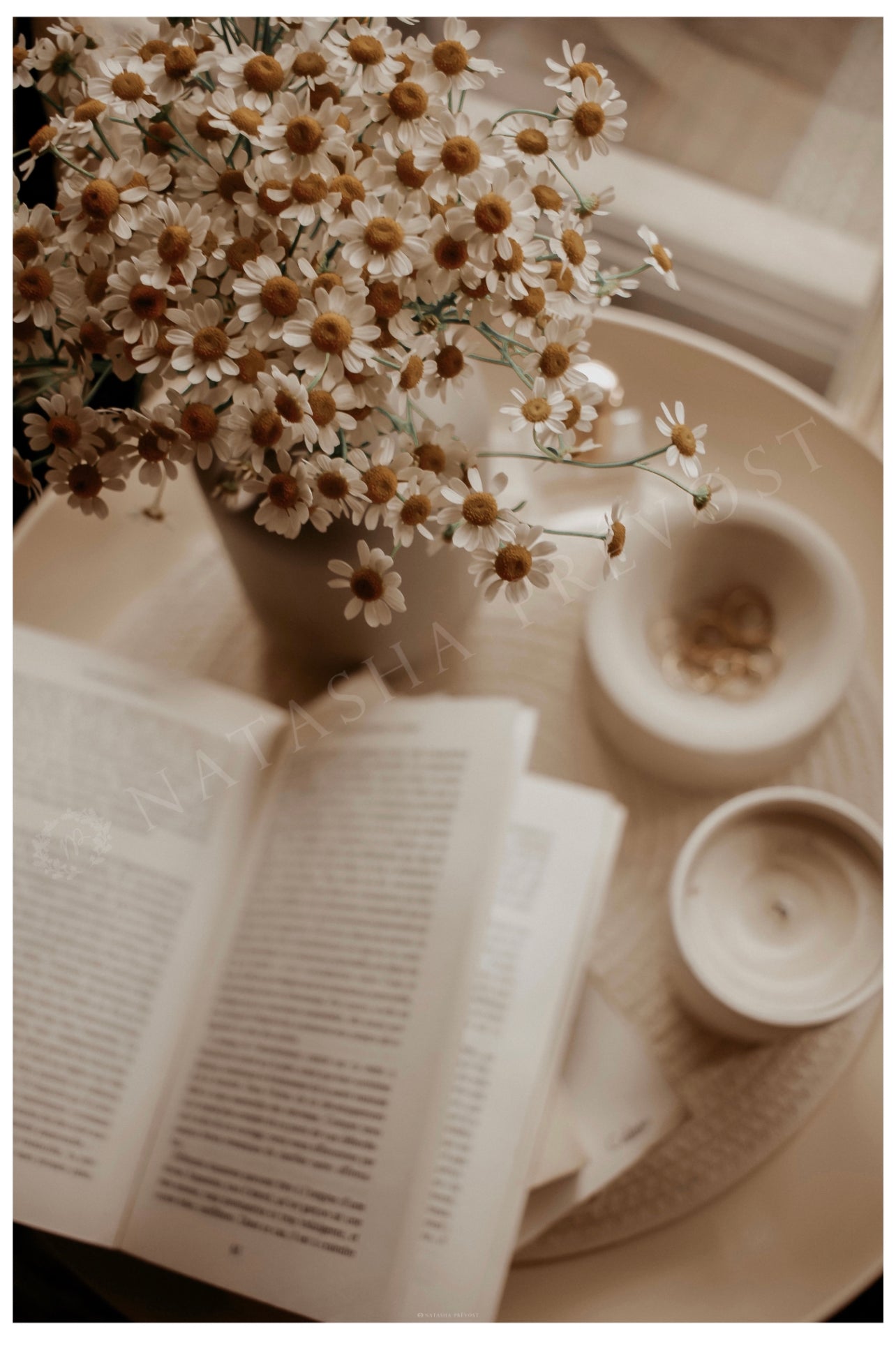 Photo d’ambiance-Série Sans texte-Photo 17