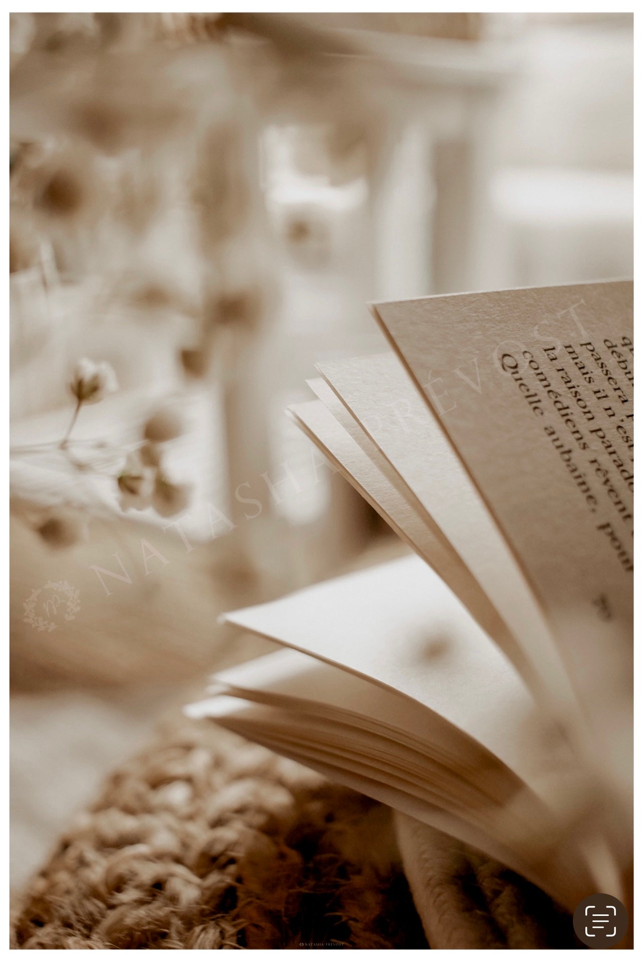 Photo d’ambiance-Série Sans texte-Photo 11