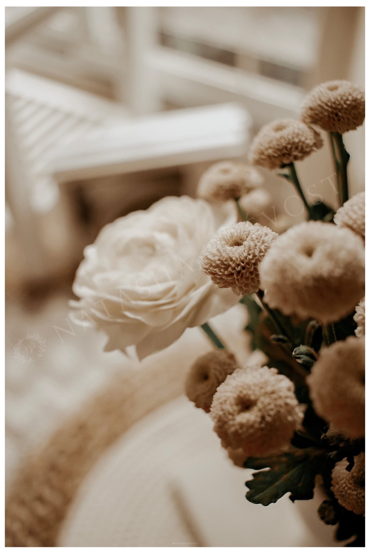 Lifestyle Photography Print - Text-Free Series - Photo 28 by Natasha Prévost