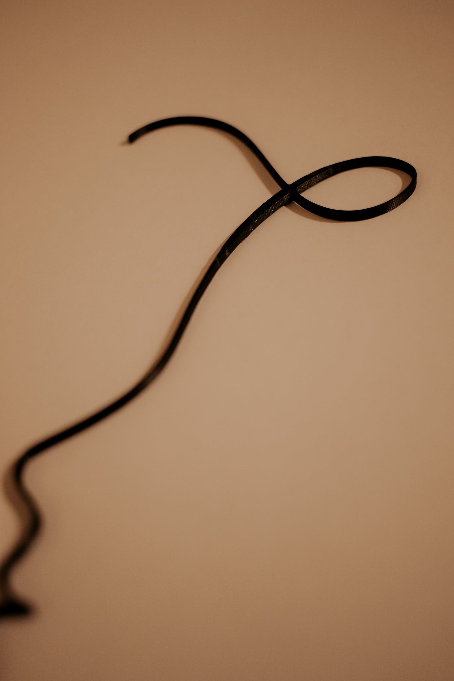 3D Illustration - Profile by Natasha Prévost