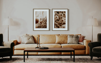 Photo d’ambiance-Série Sans texte-Photo 34