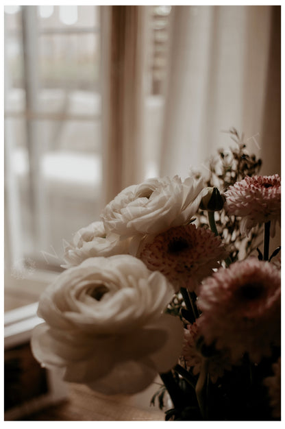 Photo d’ambiance-Série Sans texte-Photo 21