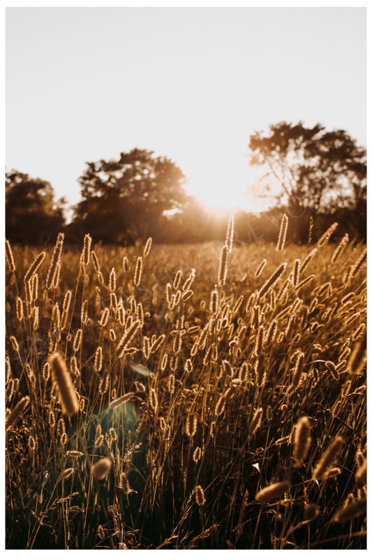 Photo d’ambiance-Série Sans texte-Photo 20