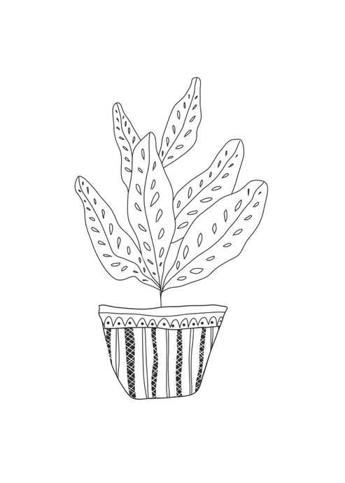 Print 26