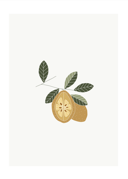 Print 81