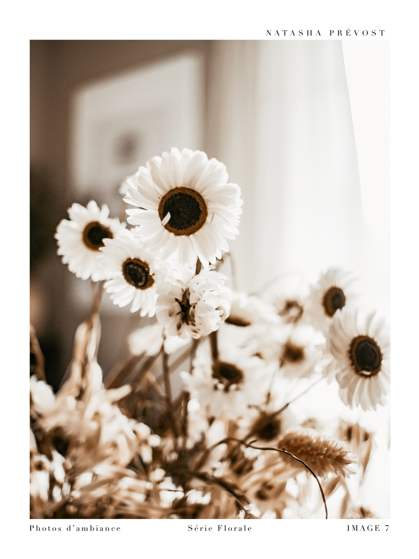 Lifestyle Photography Print - Floral Series - Image 7 by Natasha Prévost