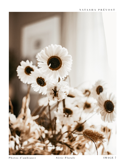 Lifestyle Photography Print - Floral Series - Image 7 by Natasha Prévost