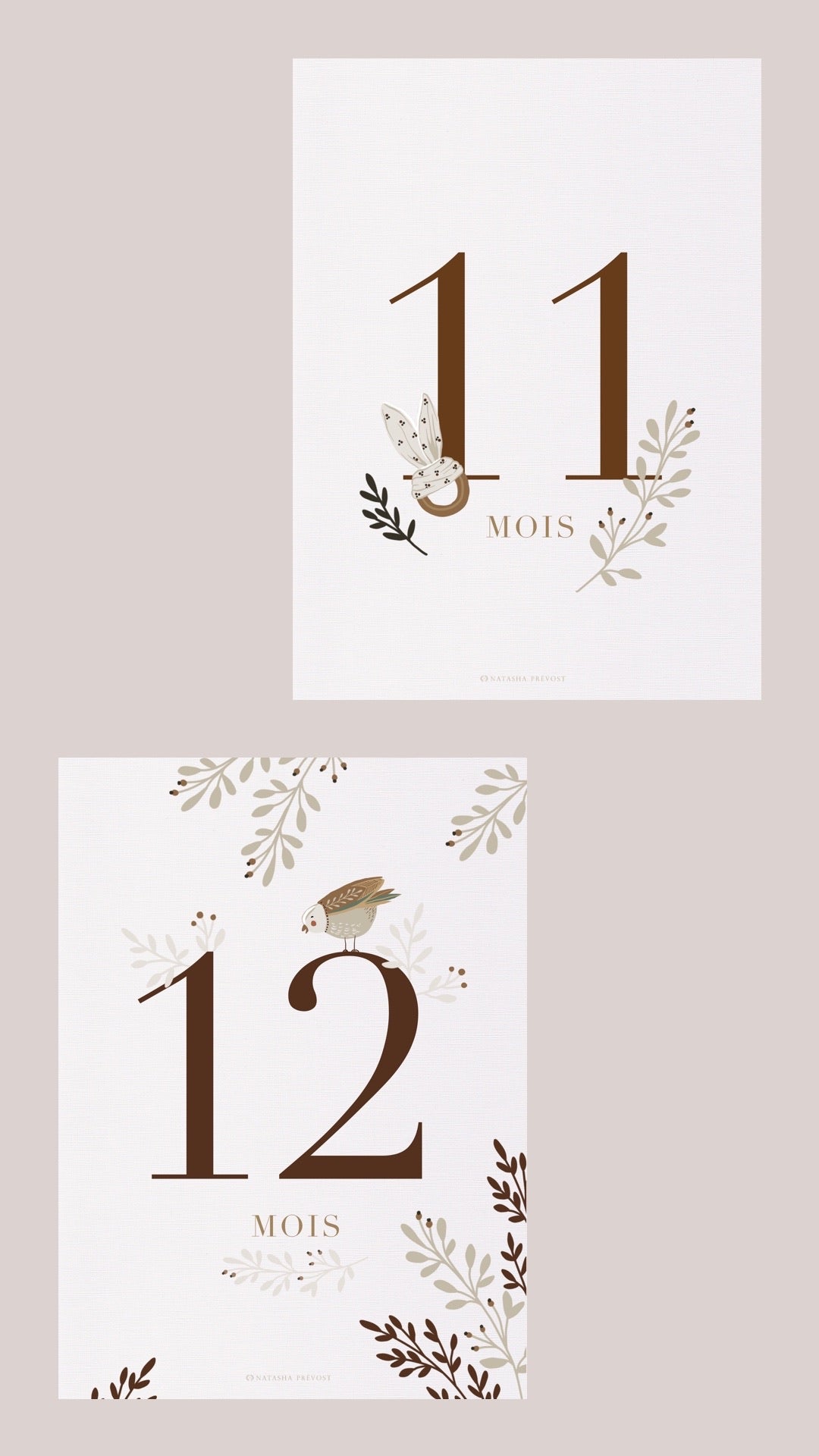 Baby's 12 Months Cards Set - 16 Cards - Unisex by Natasha Prévost