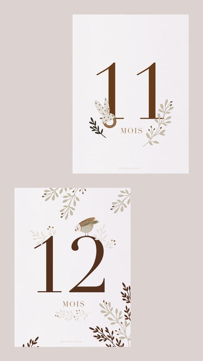 Baby's 12 Months Cards Set - 16 Cards - Unisex by Natasha Prévost