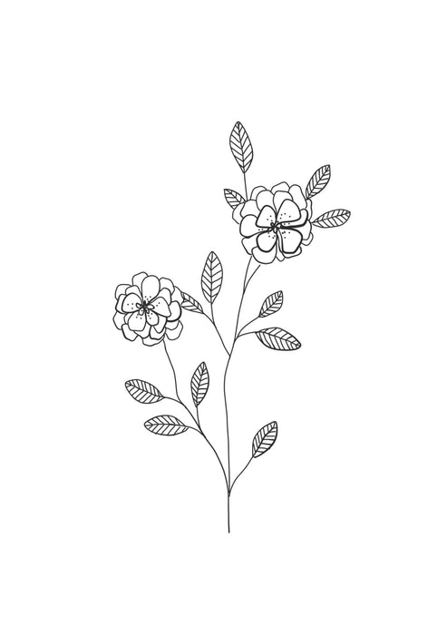 Print 29
