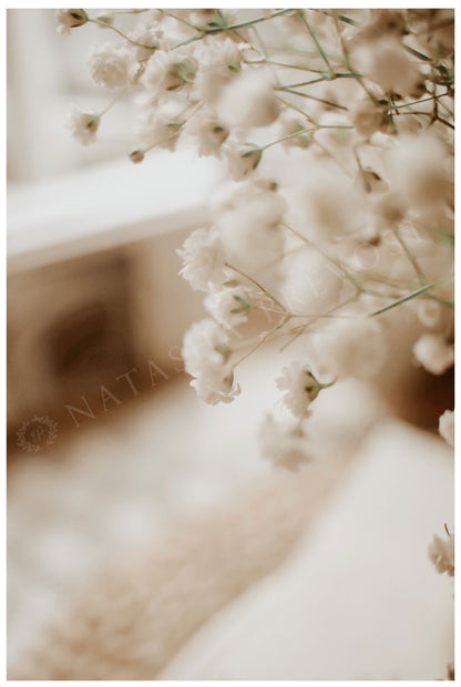 Photo d’ambiance-Série Sans texte-Photo 10