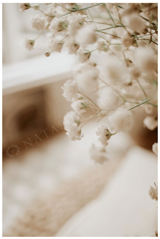 Photo d’ambiance-Série Sans texte-Photo 10