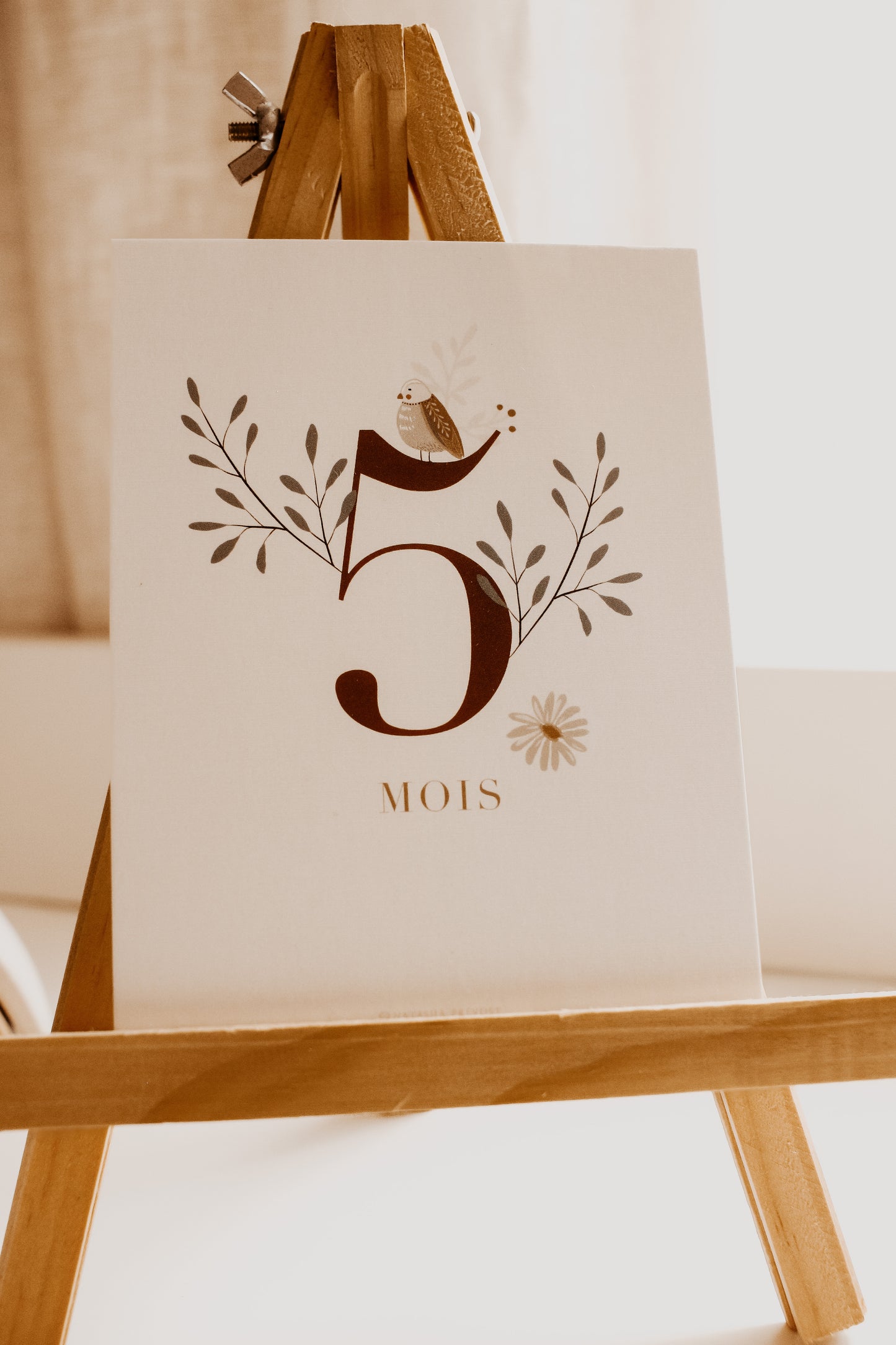 Baby's 12 Months Cards Set - 16 Cards - Unisex by Natasha Prévost